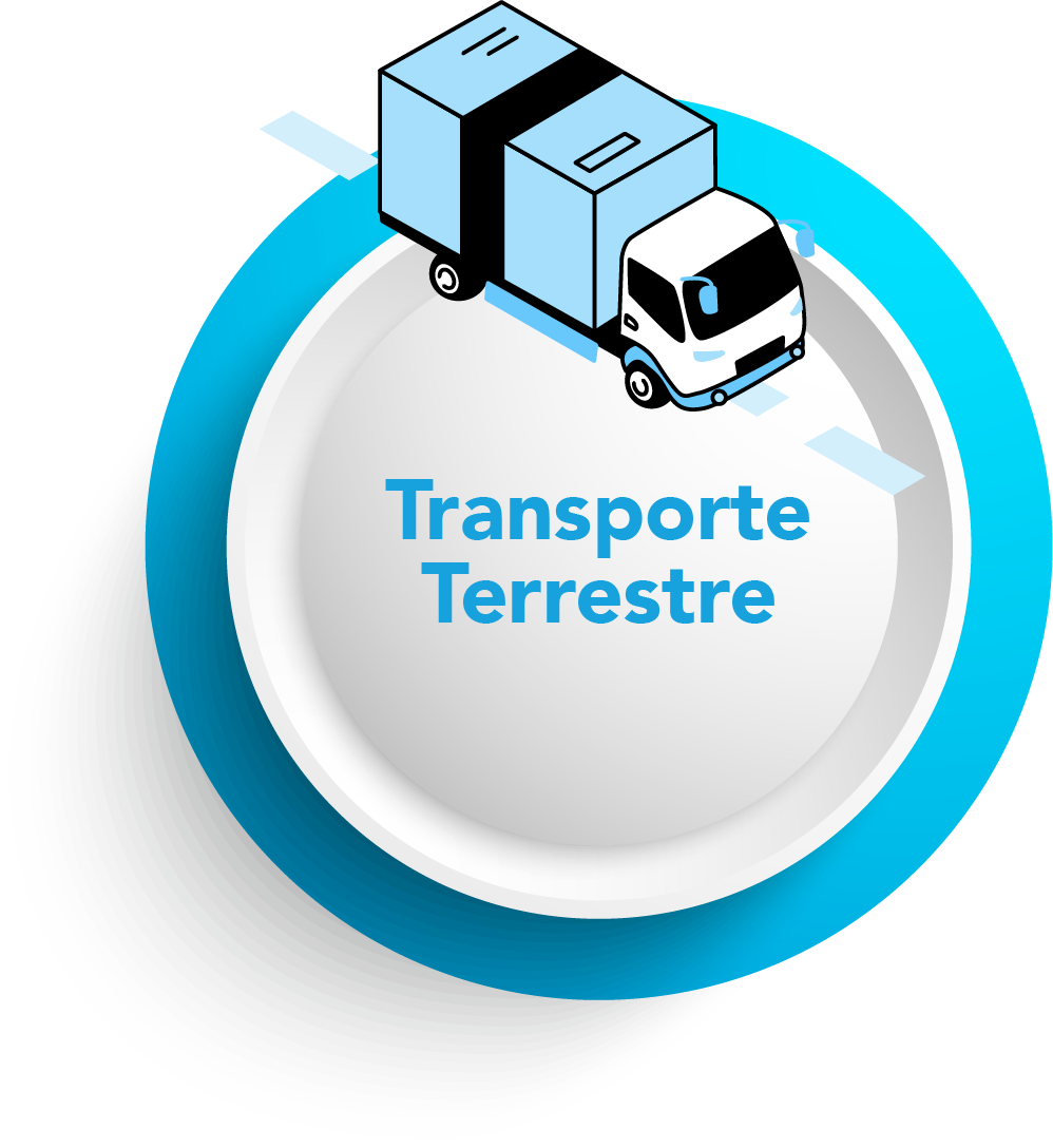 boton transporte terrestre